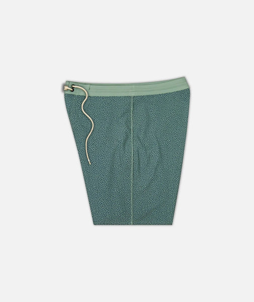 Jetty Mens Boardshorts Holgate