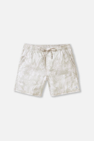 Katin Mens Boardshorts Carver Volley