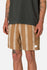 Katin Mens Shorts Cedar Local