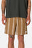 Katin Mens Shorts Cedar Local