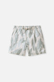 Katin Mens Boardshorts Larry Volley