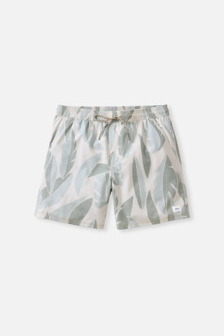 Katin Mens Boardshorts Larry Volley