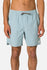 Katin Mens Shorts OTG Venn Volley