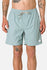 Katin Mens Shorts Poolside Volley