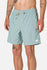 Katin Mens Shorts Poolside Volley