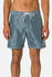 Katin Mens Boardshorts Waterman Trunk