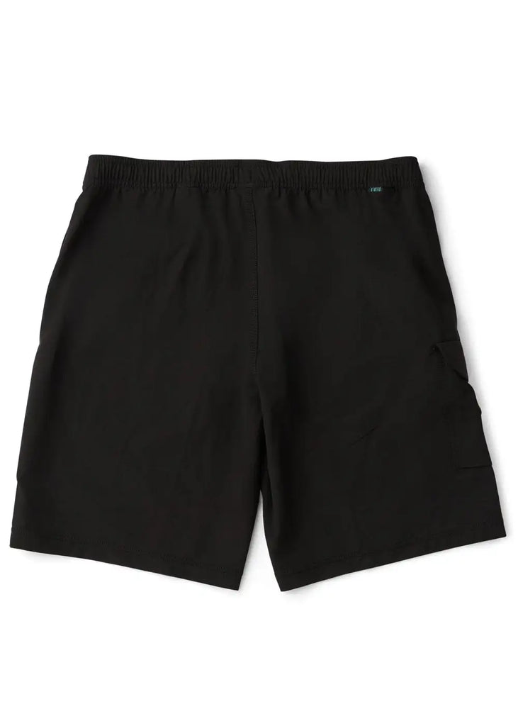 Vissla Mens Boardshorts Long Sets 21