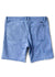 Vissla Mens Shorts Pismo Painter 21