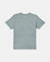 RVCA Mens Shirt PTC 2 Pigment