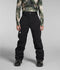 The North Face Mens Snow Pants Freedom Stretch