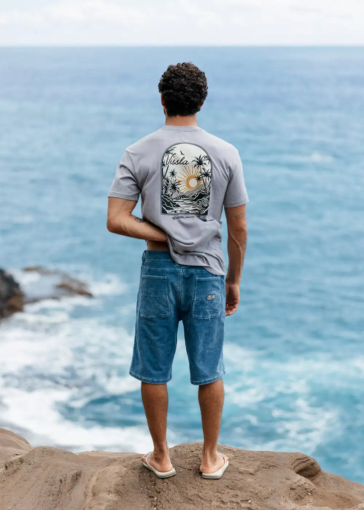 Vissla Mens Shorts Pier Bowl 22