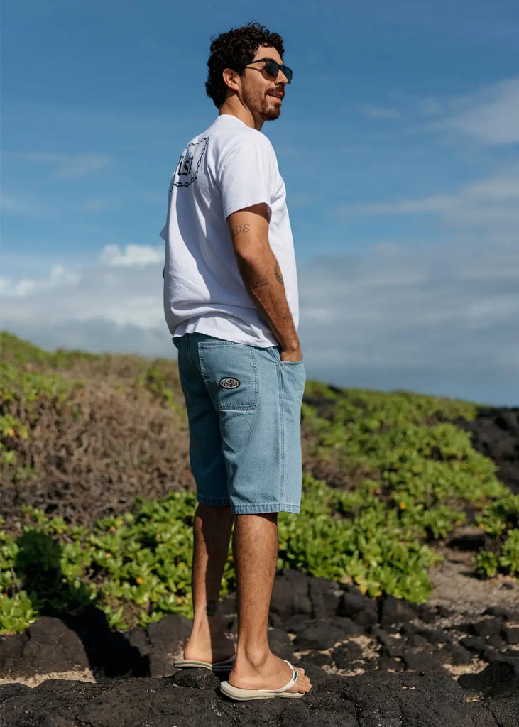 Vissla Mens Shorts Pier Bowl 22