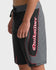 Quiksilver Mens Boardshorts Mercury Trident 21