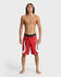 Quiksilver Mens Boardshorts Mercury Trident 21