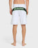 Quiksilver Mens Boardshorts Mercury Gravity 21