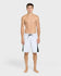 Quiksilver Mens Boardshorts Mercury Gravity 21