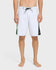 Quiksilver Mens Boardshorts Mercury Gravity 21