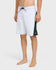 Quiksilver Mens Boardshorts Mercury Gravity 21