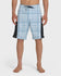 Quiksilver Mens Boardshorts Channel 21