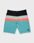 Quiksilver Mens Boardshorts Surfsilk Panel 20"