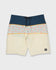Quiksilver Mens Boardshorts Surfsilk Panel 20