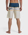Quiksilver Mens Boardshorts Surfsilk Panel 20