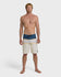Quiksilver Mens Boardshorts Surfsilk Panel 20