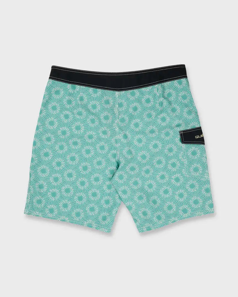 Quiksilver Mens Boardshorts Ocean Mayhem 19