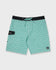 Quiksilver Mens Boardshorts Ocean Mayhem 19