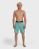 Quiksilver Mens Boardshorts Ocean Mayhem 19