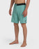 Quiksilver Mens Boardshorts Ocean Mayhem 19