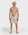 Quiksilver Mens Boardshorts Fade Lines Panel 19