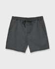 Quiksilver Mens Shorts Saltwater