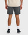 Quiksilver Mens Shorts Saltwater