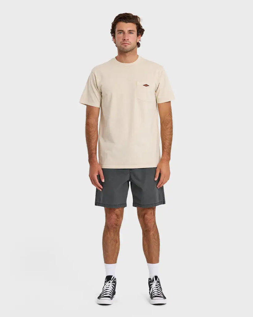Quiksilver Mens Shorts Saltwater