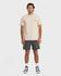 Quiksilver Mens Shorts Saltwater