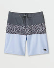 Quiksilver Mens Boardshorts Surfsilk Panel 20"