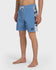 Quiksilver Mens Boardshorts Original Arch 18