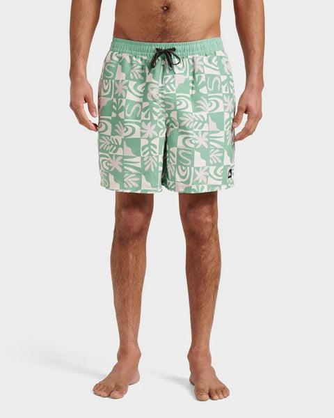 Quiksilver Mens Boardshorts Everyday Terra