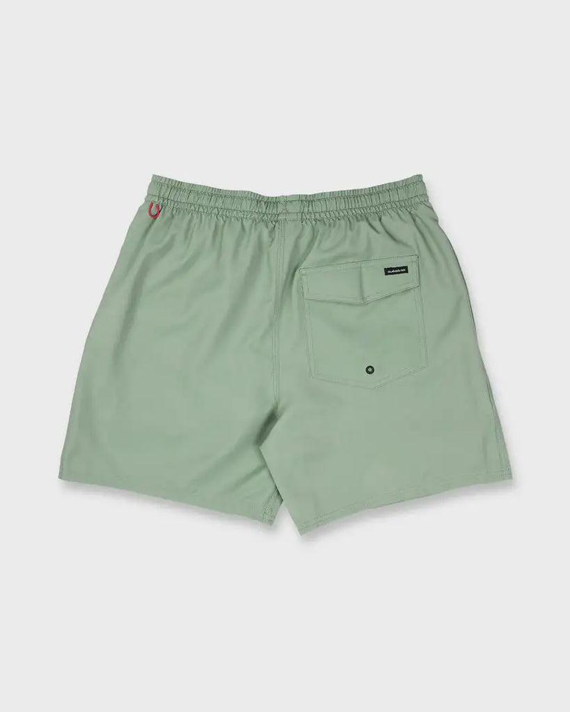 Quiksilver Mens Boardshorts Everyday Solid Volley 17