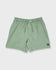 Quiksilver Mens Boardshorts Everyday Solid Volley 17