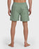 Quiksilver Mens Boardshorts Everyday Solid Volley 17