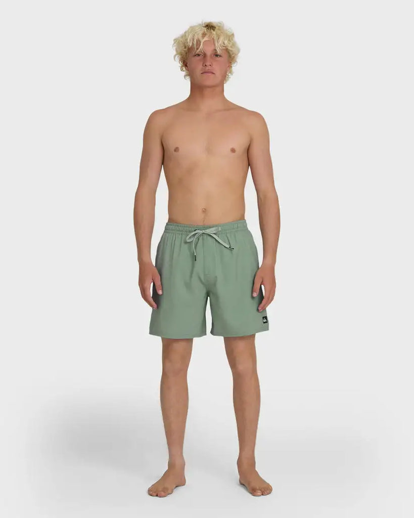 Quiksilver Mens Boardshorts Everyday Solid Volley 17