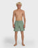 Quiksilver Mens Boardshorts Everyday Solid Volley 17