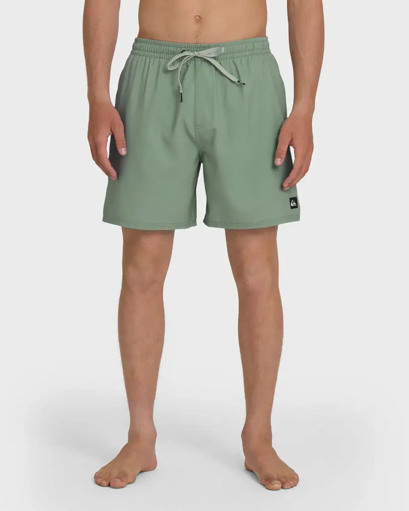 Quiksilver Mens Boardshorts Everyday Solid Volley 17