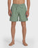 Quiksilver Mens Boardshorts Everyday Solid Volley 17