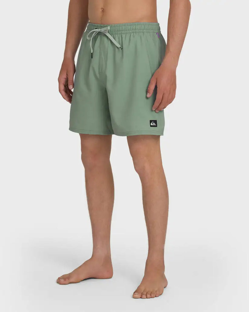 Quiksilver Mens Boardshorts Everyday Solid Volley 17