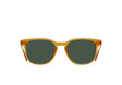 RAEN Sunglasses Alvez