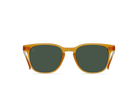 RAEN Sunglasses Alvez
