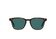 RAEN Sunglasses Alvez